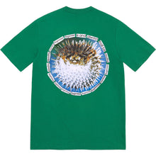 Supreme Blowfish Tee Pine