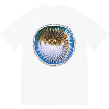 Supreme Blowfish Tee White