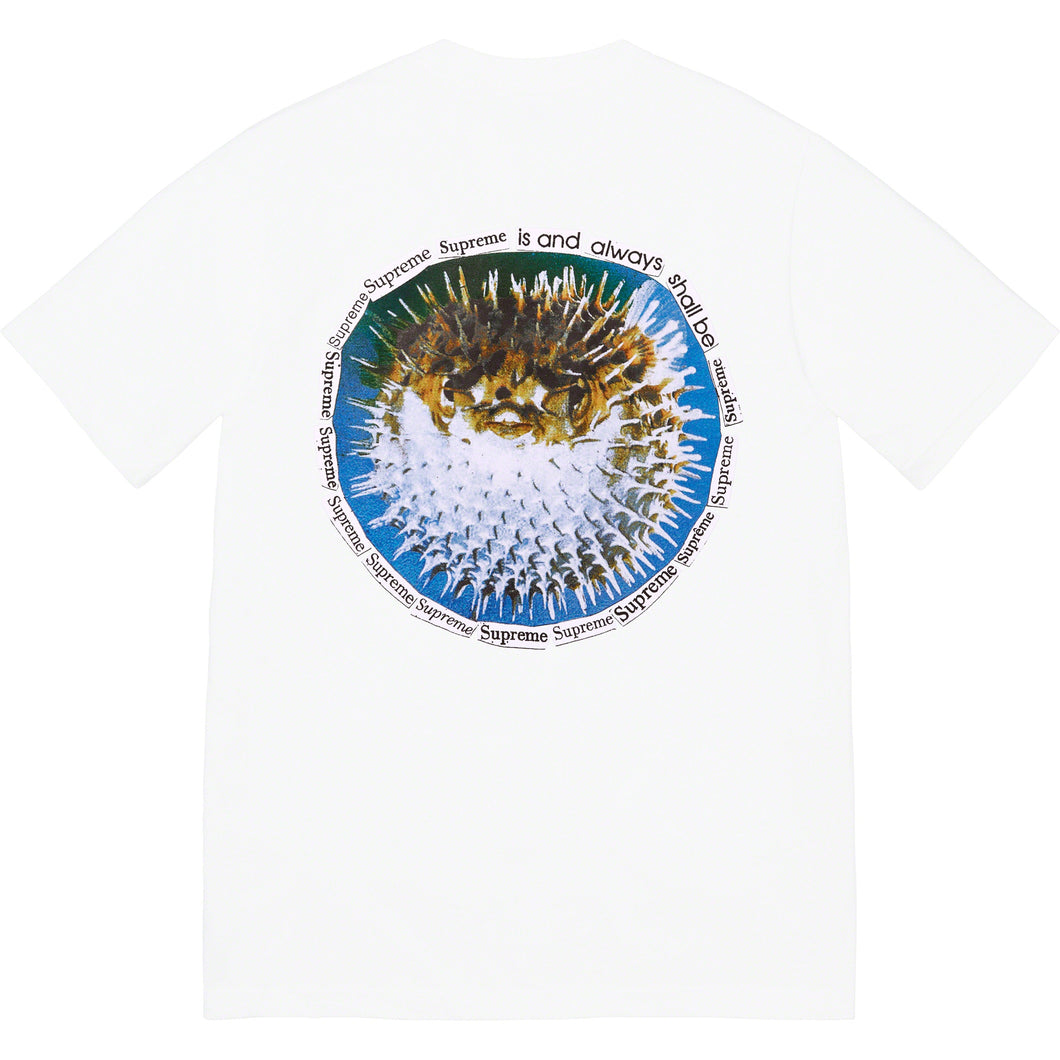 Supreme Blowfish Tee White