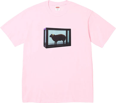 PREORDER Supreme Damien Hirst Tee