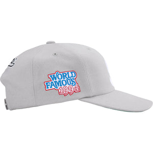 Supreme World Famous S Logo 6 Panel Grey