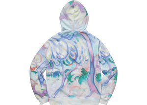 Supreme Landscape Hooded Sweatshirt Multicolor
