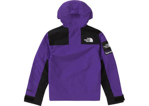 Supreme The North Face Arc Logo Mountain Parka (Purple)