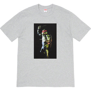 Supreme Raphael Tee Grey